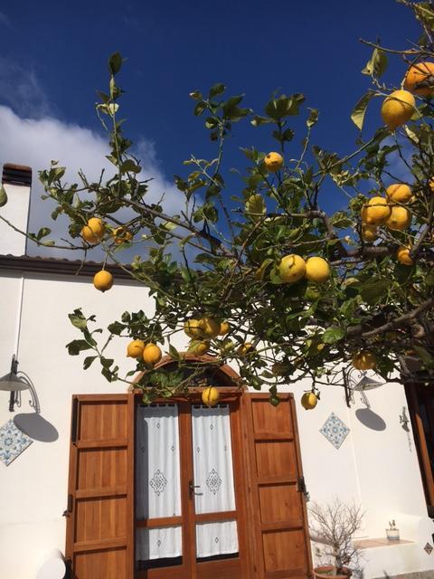 Uliveto House Castellammare del Golfo Exterior foto