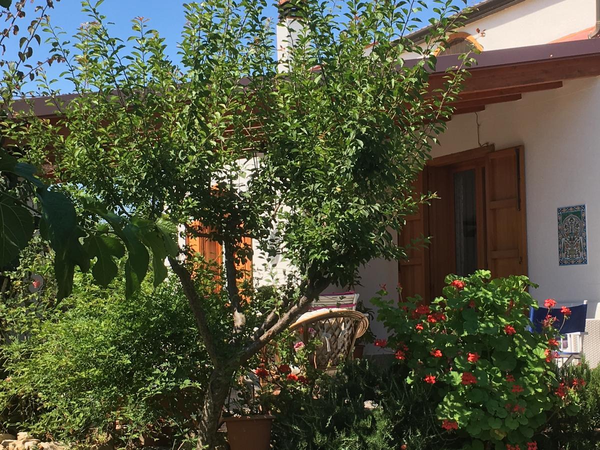 Uliveto House Castellammare del Golfo Exterior foto